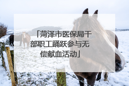 菏泽市医保局干部职工踊跃参与无偿献血活动